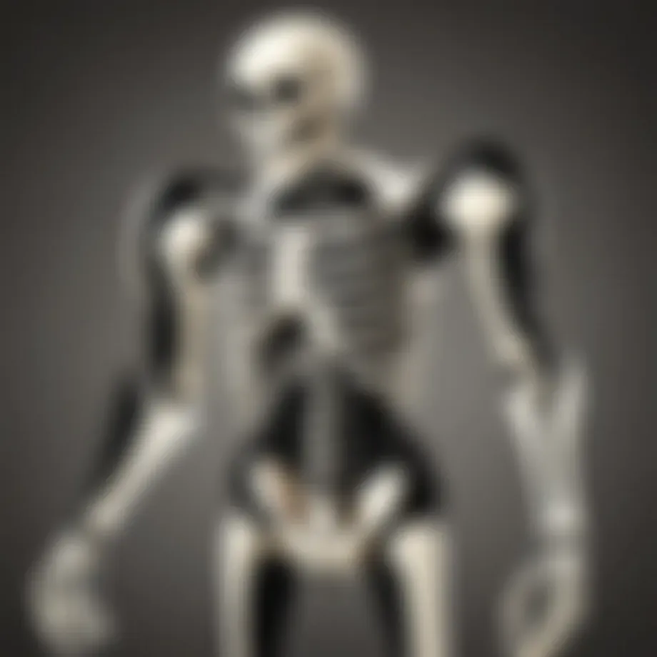 A dynamic scene showcasing a player navigating the Bone Collector world