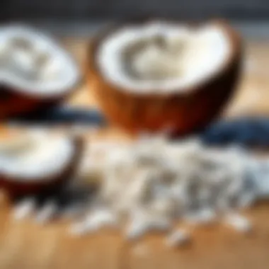 Close-up of coconut shreds produced by a shredder