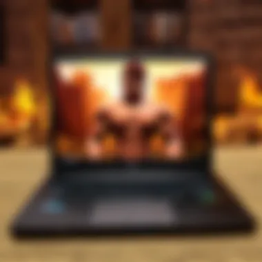 Exemplary Video Quality Quality video recording example