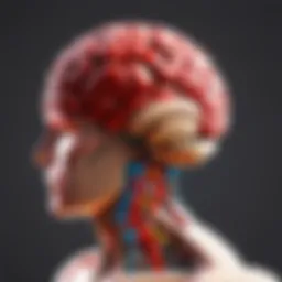 Visual representation of brain match dynamics in Roblox