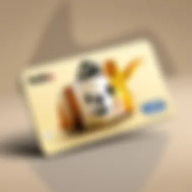 The Elegant Design of the Vanilla Visa Gift Card Vanilla Visa Gift Card showcasing its design and branding